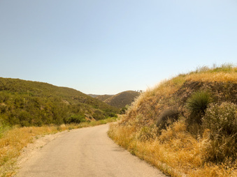 Enlarge photo 62
