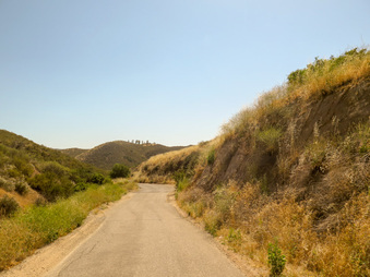 Enlarge photo 63