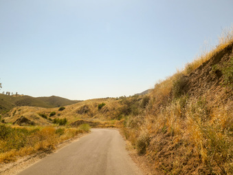 Enlarge photo 65