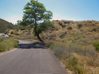 Enlarge photo 68