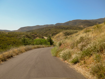 Enlarge photo 71