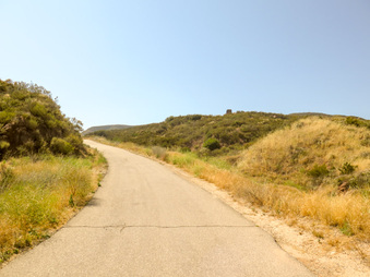 Enlarge photo 72