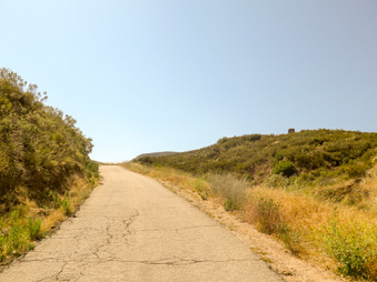 Enlarge photo 73