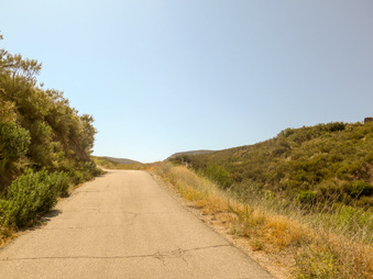 Enlarge photo 74