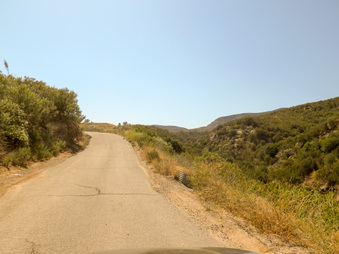 Enlarge photo 75
