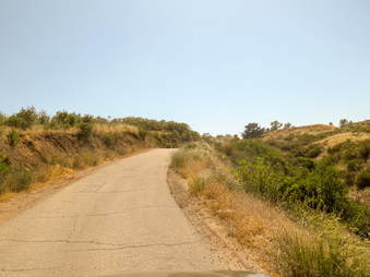 Enlarge photo 76