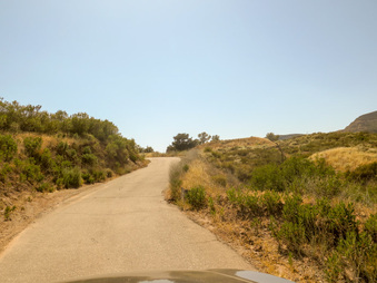 Enlarge photo 77