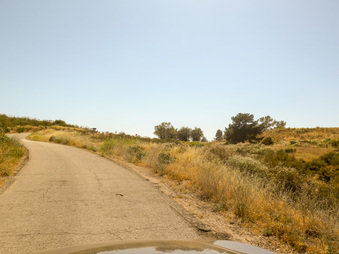 Enlarge photo 78