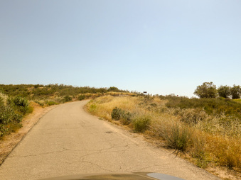 Enlarge photo 79