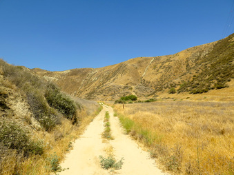 Enlarge photo 22