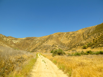 Enlarge photo 23