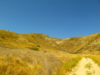 Enlarge photo 25