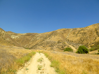 Enlarge photo 26