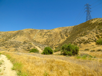 Enlarge photo 27