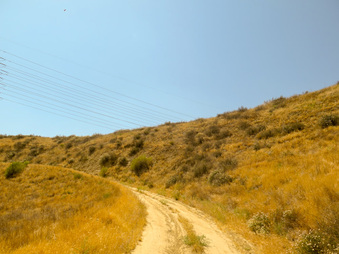 Enlarge photo 28
