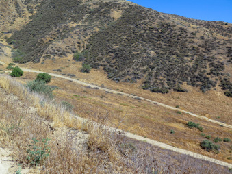 Enlarge photo 29