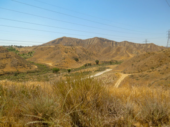 Enlarge photo 33