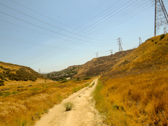 Enlarge photo 35