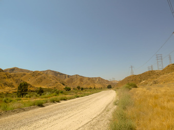 Enlarge photo 37