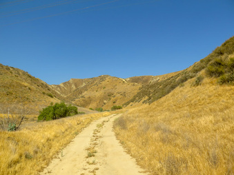 Enlarge photo 39