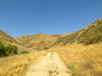 Enlarge photo 40