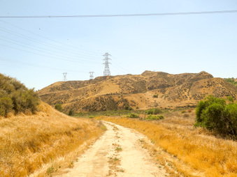 Enlarge photo 41