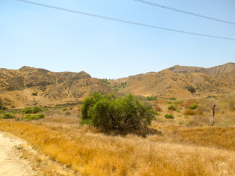 Enlarge photo 42