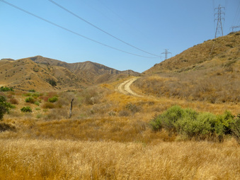 Enlarge photo 43