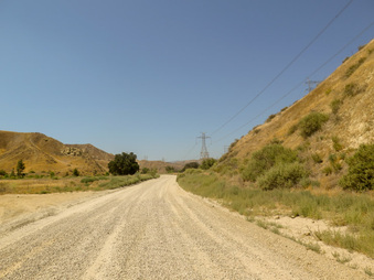 Enlarge photo 45