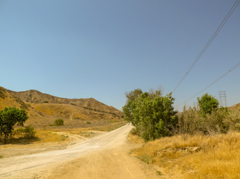 Enlarge photo 50