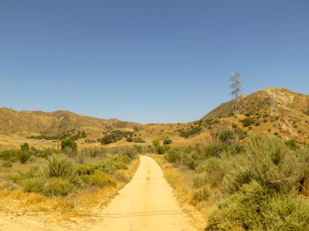 Enlarge photo 52