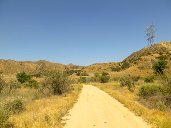 Enlarge photo 54