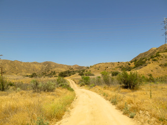 Enlarge photo 55