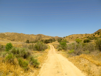 Enlarge photo 56