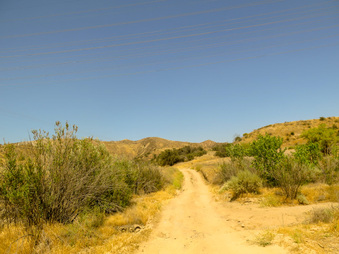 Enlarge photo 57
