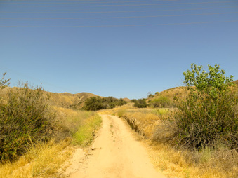 Enlarge photo 58