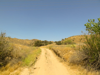 Enlarge photo 59