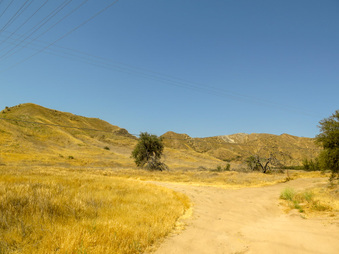 Enlarge photo 60