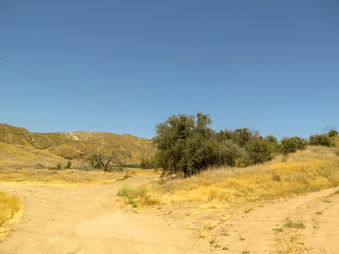 Enlarge photo 61