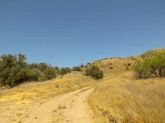 Enlarge photo 62