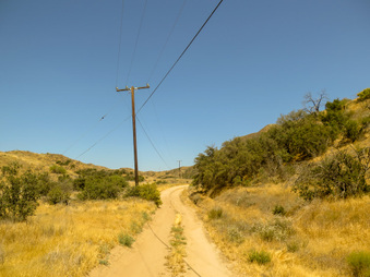 Enlarge photo 63