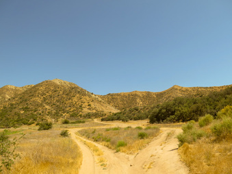 Enlarge photo 64