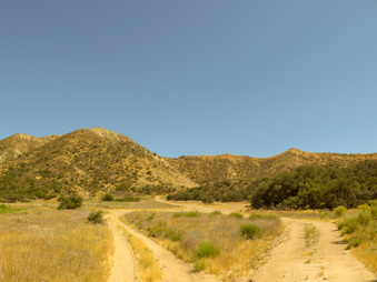 Enlarge photo 65