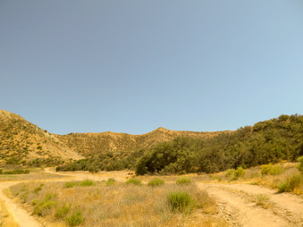 Enlarge photo 66