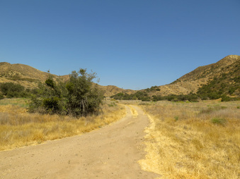Enlarge photo 67