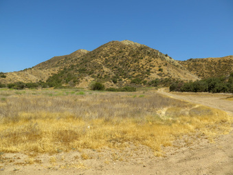 Enlarge photo 68