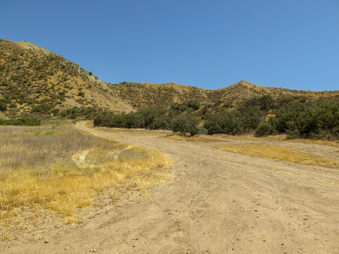 Enlarge photo 69