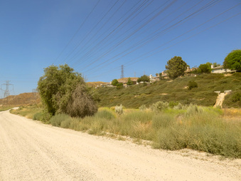 Enlarge photo 7