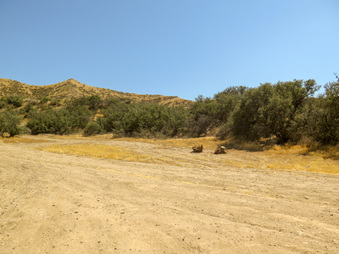 Enlarge photo 70