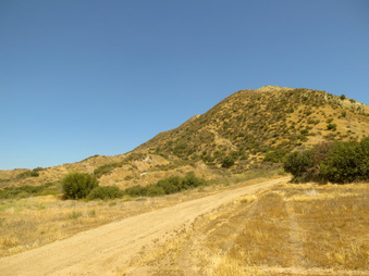 Enlarge photo 71